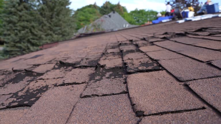 Best Metal Roofing Installation  in Wright Patterson Af, OH